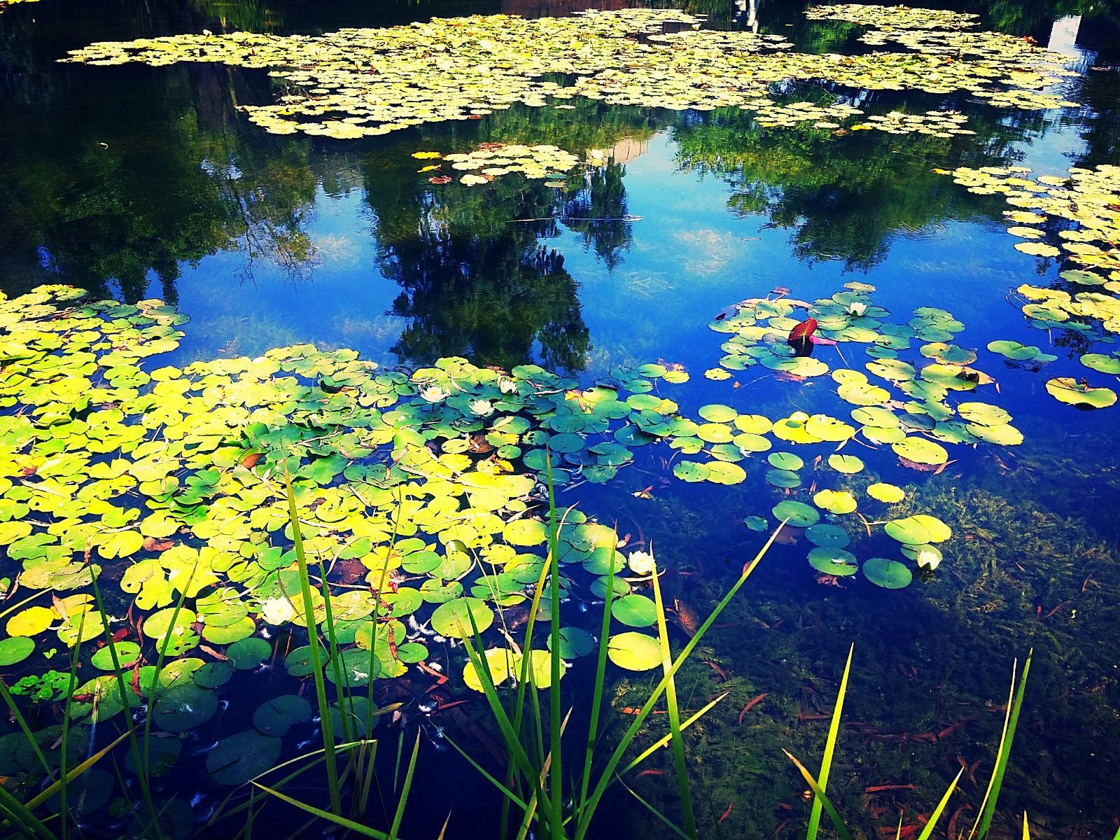 美麗的昆明風景，“春城”