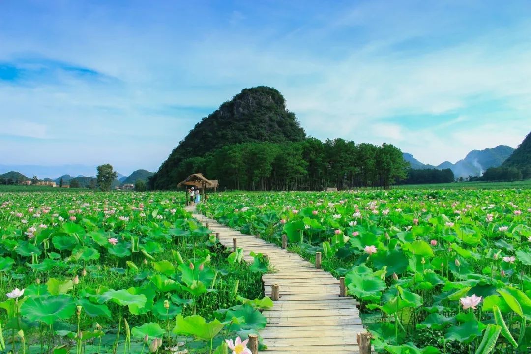 【大理蒼山西馬潭索道】——大理蒼山美景綜合介紹