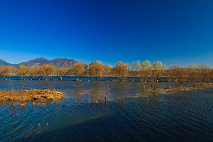 觀賞蝴蝶泉，欣賞大理美景