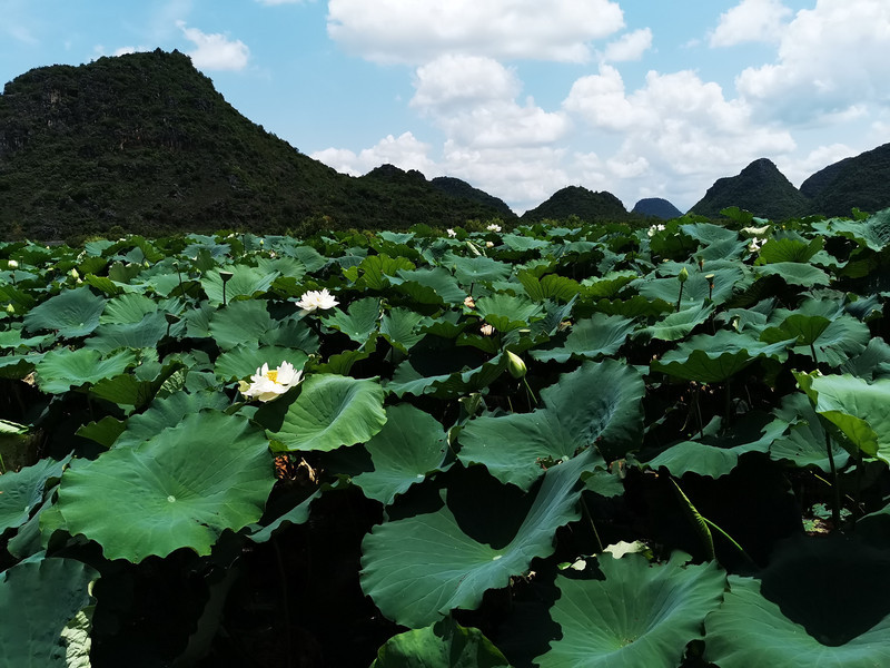 暑假去大理旅游――著名文學之國大理旅游