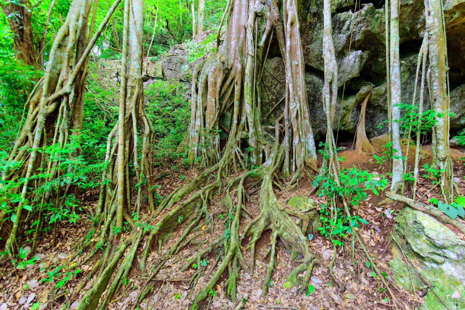 麗江瀘沽湖旅游團(tuán)購(gòu)-如何安排Lu沽湖三日游？