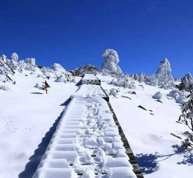 麗江當地旅游團-自助游還是團體游麗江更好嗎？